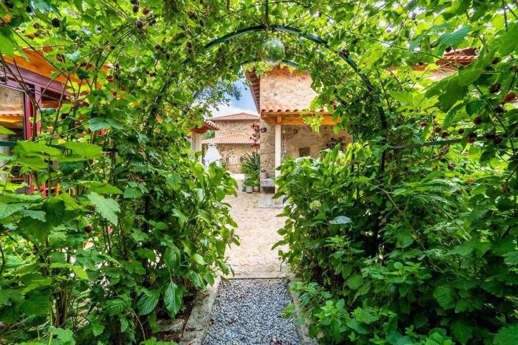 Casas Casal Do Carvalhal - Agroturismo อามาเรส ภายนอก รูปภาพ