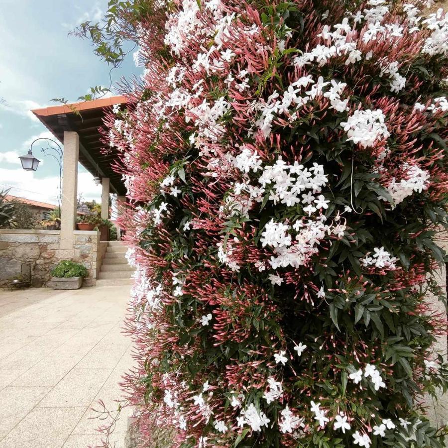 Casas Casal Do Carvalhal - Agroturismo อามาเรส ภายนอก รูปภาพ
