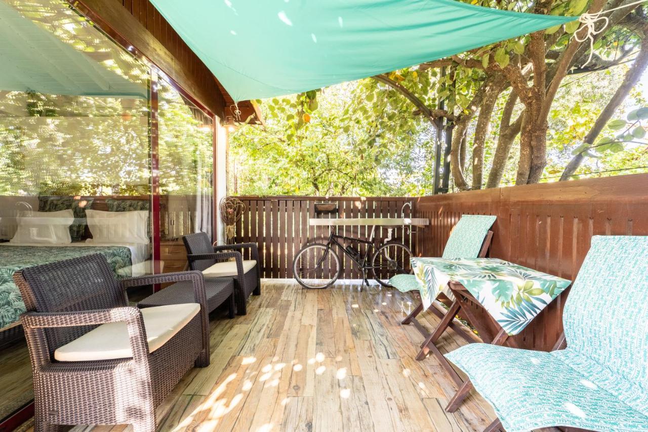 Casas Casal Do Carvalhal - Agroturismo อามาเรส ภายนอก รูปภาพ